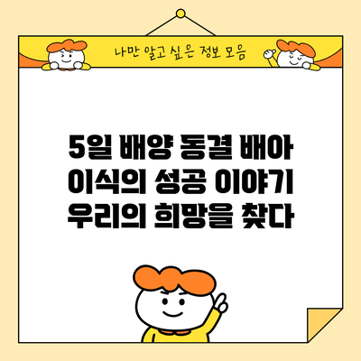 5일 배양 동결 배아 이식의 성공 이야기: 우리의 희망을 찾다
