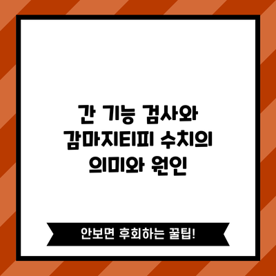 간 기능 검사와 감마지티피 수치의 의미와 원인