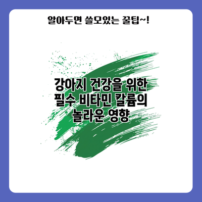 강아지 건강을 위한 필수 비타민 칼륨의 놀라운 영향