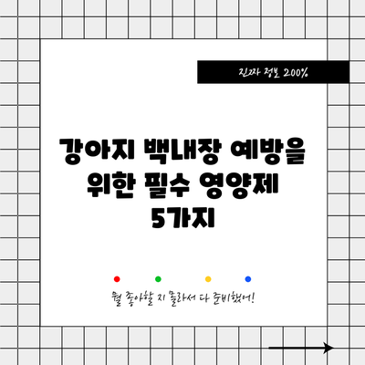 강아지 백내장 예방을 위한 필수 영양제 5가지