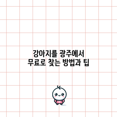 강아지를 광주에서 무료로 찾는 방법과 팁