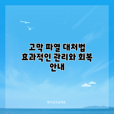 고막 파열 대처법: 효과적인 관리와 회복 안내
