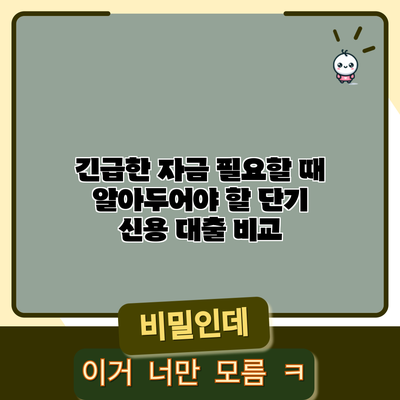 긴급한 자금 필요할 때 알아두어야 할 단기 신용 대출 비교