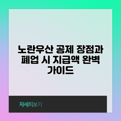 노란우산 공제: 장점과 폐업 시 지급액 완벽 가이드