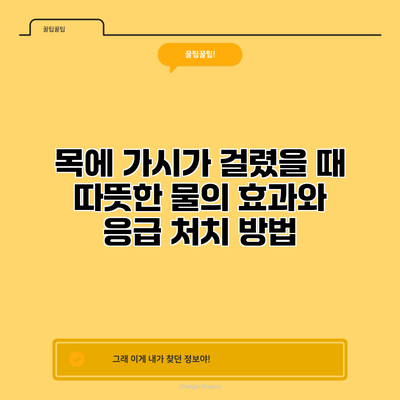 목에 가시가 걸렸을 때 따뜻한 물의 효과와 응급 처치 방법