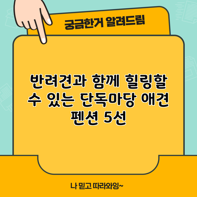 반려견과 함께 힐링할 수 있는 단독마당 애견 펜션 5선