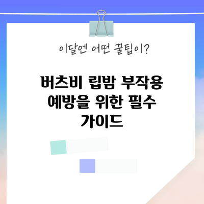 버츠비 립밤 부작용 예방을 위한 필수 가이드