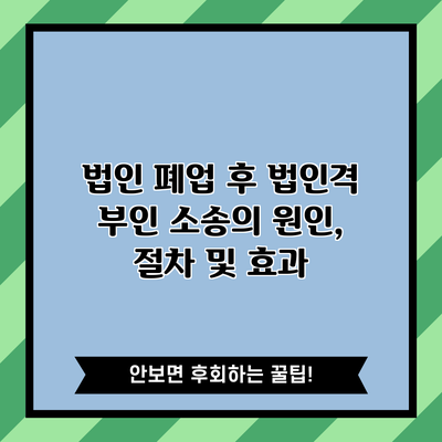 법인 폐업 후 법인격 부인 소송의 원인, 절차 및 효과