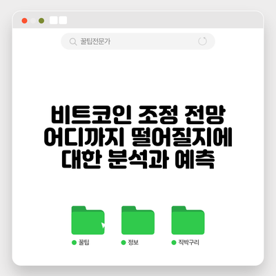 비트코인 조정 전망: 어디까지 떨어질지에 대한 분석과 예측