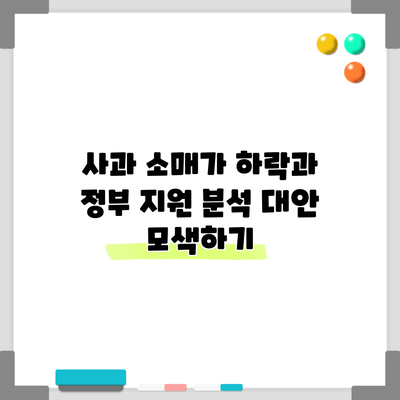사과 소매가 하락과 정부 지원 분석: 대안 모색하기