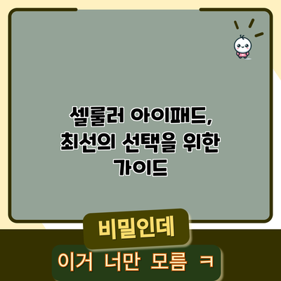 셀룰러 아이패드, 최선의 선택을 위한 가이드