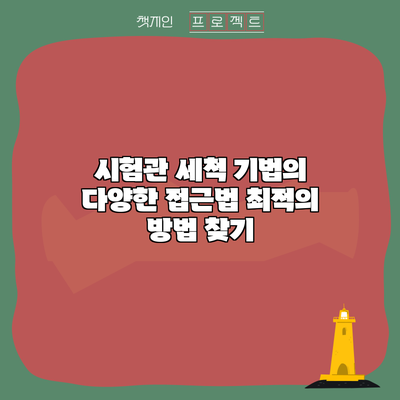 시험관 세척 기법의 다양한 접근법: 최적의 방법 찾기