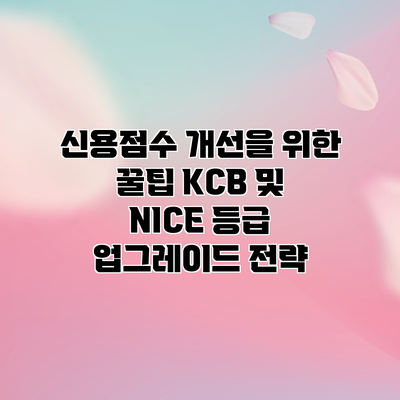 신용점수 개선을 위한 꿀팁: KCB 및 NICE 등급 업그레이드 전략