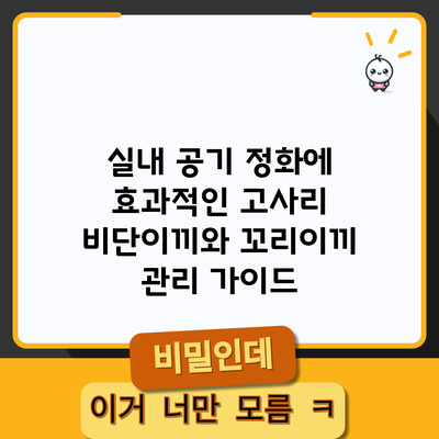 실내 공기 정화에 효과적인 고사리 비단이끼와 꼬리이끼 관리 가이드