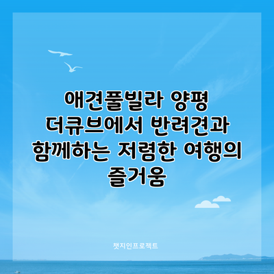 애견풀빌라 양평 더큐브에서 반려견과 함께하는 저렴한 여행의 즐거움