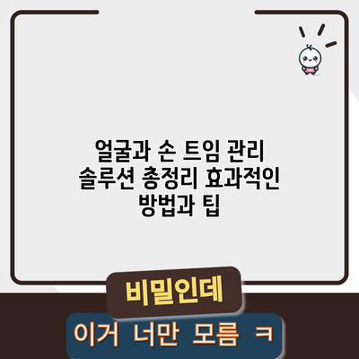 얼굴과 손 트임 관리 솔루션 총정리: 효과적인 방법과 팁