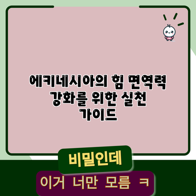 에키네시아의 힘: 면역력 강화를 위한 실천 가이드