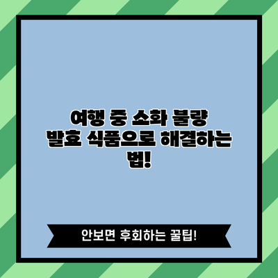 여행 중 소화 불량? 발효 식품으로 해결하는 법!