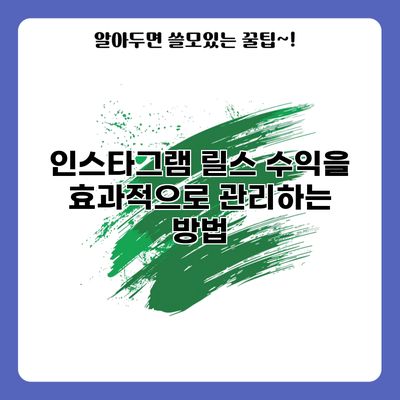 인스타그램 릴스 수익을 효과적으로 관리하는 방법