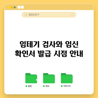임테기 검사와 임신 확인서 발급 시점 안내