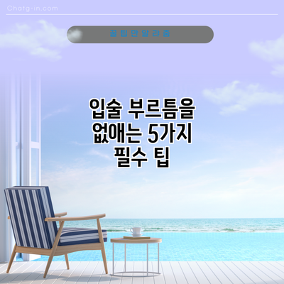 입술 부르틈을 없애는 5가지 필수 팁