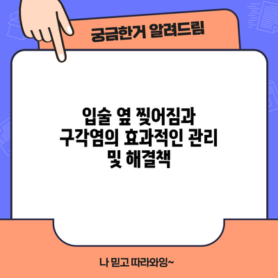 입술 옆 찢어짐과 구각염의 효과적인 관리 및 해결책