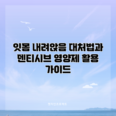 잇몸 내려앉음 대처법과 덴티시브 영양제 활용 가이드