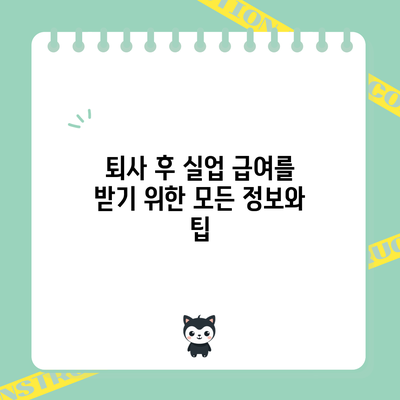 퇴사 후 실업 급여를 받기 위한 모든 정보와 팁