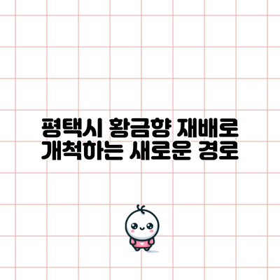 평택시 황금향 재배로 개척하는 새로운 경로
