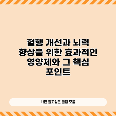 혈행 개선과 뇌력 향상을 위한 효과적인 영양제와 그 핵심 포인트