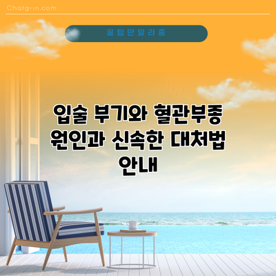 입술 부기와 혈관부종: 원인과 신속한 대처법 안내