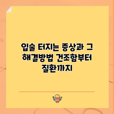 입술 터지는 증상과 그 해결방법: 건조함부터 질환까지