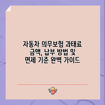 자동차 의무보험 과태료: 금액, 납부 방법 및 면제 기준 완벽 가이드