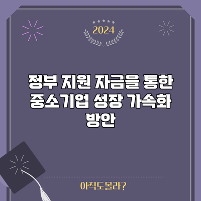 정부 지원 자금을 통한 중소기업 성장 가속화 방안