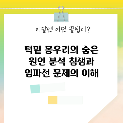 턱밑 몽우리의 숨은 원인 분석: 침샘과 임파선 문제의 이해