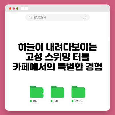 하늘이 내려다보이는 고성 스위밍 터틀 카페에서의 특별한 경험