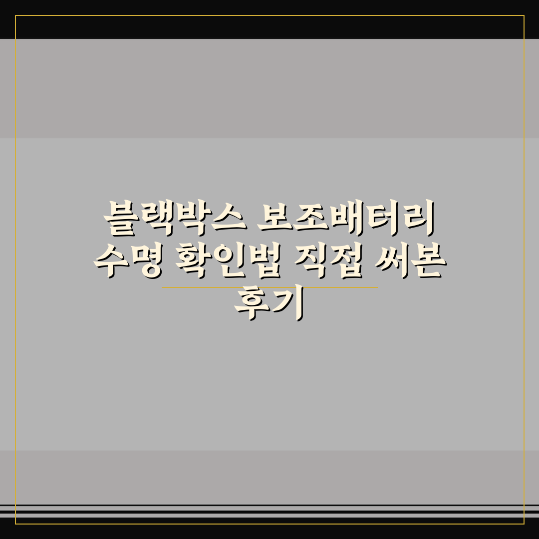 블랙박스 보조배터리 수명 확인법 직접 써본 후기