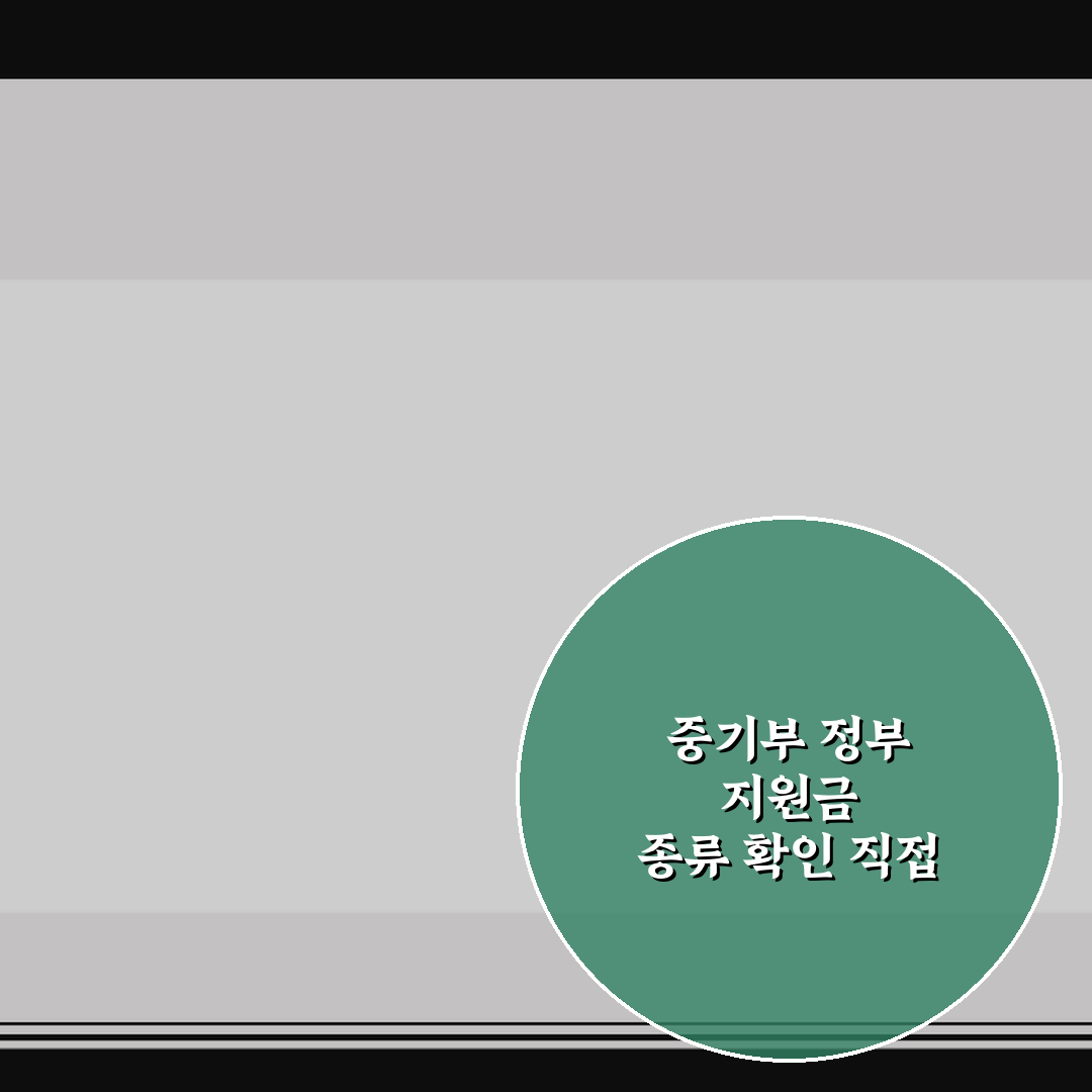 중기부 정부 지원금 종류 확인 직접 써본 후기와 활용 팁
