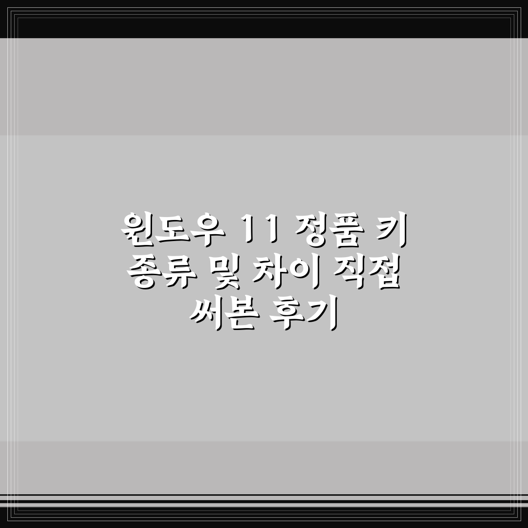 윈도우 11 정품 키 종류 및 차이 직접 써본 후기