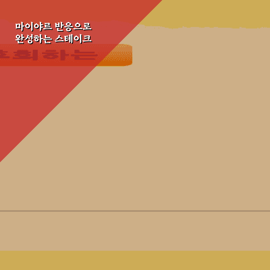 스테이크 마이야르 반응 내기 핵심가이드 5가지 판단 기준