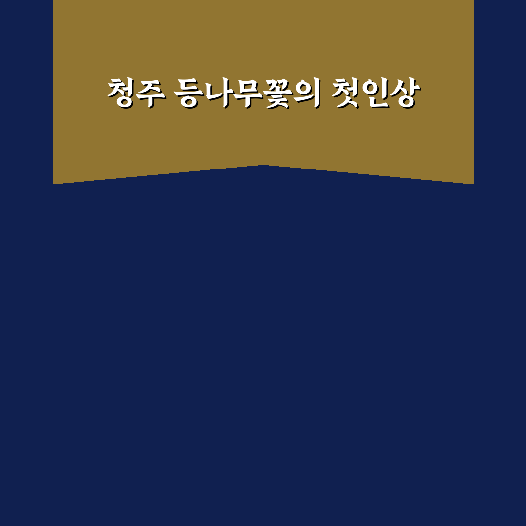 청주 등나무꽃 방문 후기, 직접 가보니 풍경과 분위기